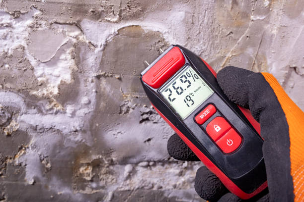 Best Certified Mold Removal  in Lapel, IN